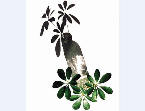 'മറിയാമ്മേ നിന്റെ കദനം'- സജിന്‍ പി.ജെ എഴുതിയ കവിത 