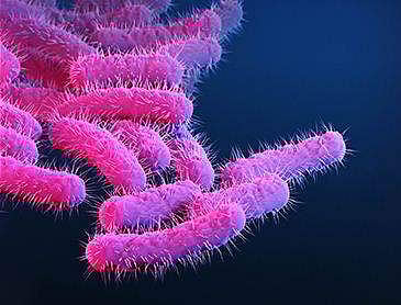 പ്രതീകാത്മക ചിത്രം