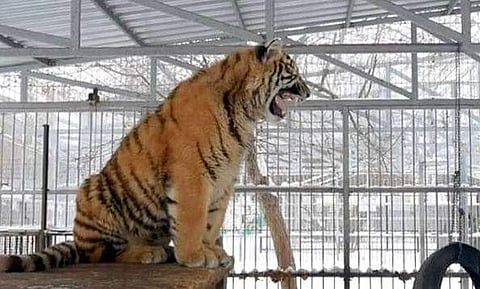 വീഡിയോ ദൃശ്യം