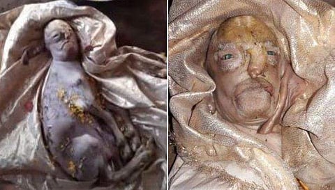 വീഡിയോ ദൃശ്യം