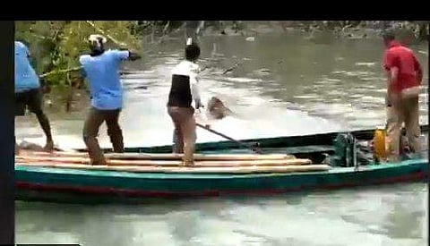 കടുവയെ കാട്ടിലേക്ക് പറഞ്ഞയക്കാന്‍ പരിശ്രമിക്കുന്ന വനംവകുപ്പ് ഉദ്യോഗസ്ഥര്‍