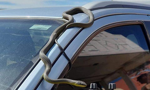 ​ഫോട്ടോ: ട്വിറ്റർ