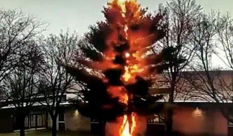 ഇടിമിന്നലേറ്റ് നിന്ന് കത്തുന്ന പൈന്‍ മരം