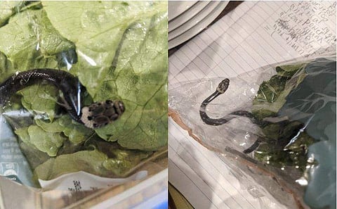 ചിത്രം: ഫേസ്ബുക്ക്