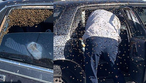 ചിത്രം: ഫേസ്ബുക്ക്