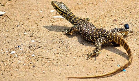 പ്രതീകാത്മക ചിത്രം