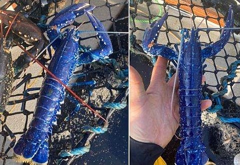 ചിത്രം: ഫെയ്സ്ബുക്ക്