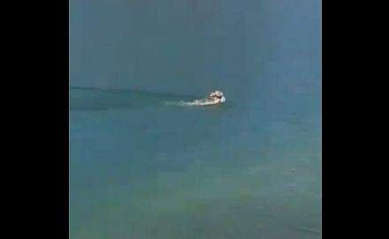 മുയല്‍ പുഴ നീന്തി കടക്കുന്ന ദൃശ്യം