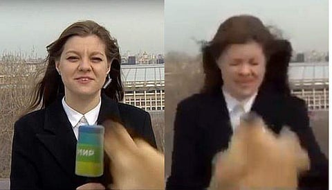 വിഡിയോ സ്ക്രീൻഷോട്ട്