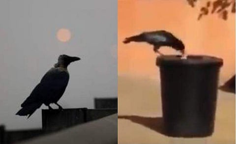 വിഡിയോ സ്ക്രീൻഷോട്ട്