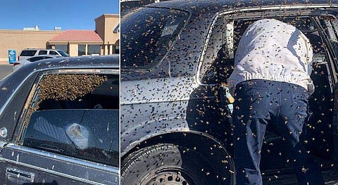 കാറിൽ തേനിച്ചകൾ കൂടുകൂട്ടിയ നിലയിൽ/ ഫെയ്സ്ബുക്ക്