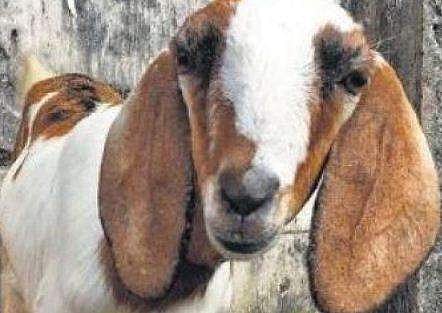 പ്രതീകാത്മക ചിത്രം