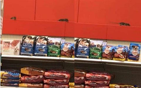 വിഡിയോ സ്ക്രീൻഷോട്ട്