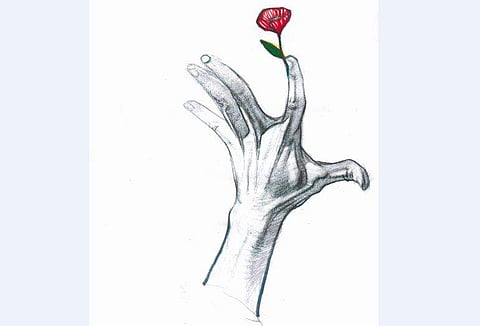 ചിത്രീകരണം - സചീന്ദ്രന്‍ കാറഡുക്ക