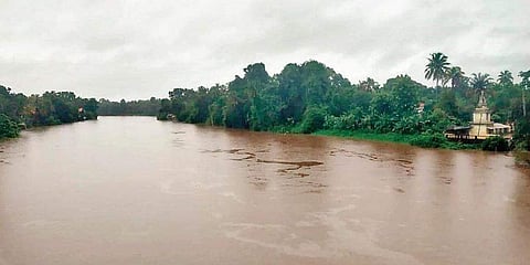 ചാലക്കുടി പുഴ/ ഫയൽ