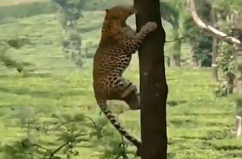 പ്രതീകാത്മക ചിത്രം