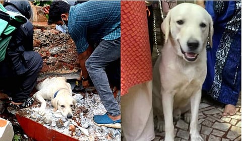 ചിത്രം: ഫേസ്ബുക്ക്