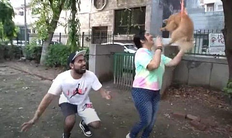 വീഡിയോ ദൃശ്യം