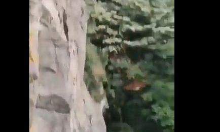 കെട്ടിടത്തിന്റെ മുകളില്‍ നിന്ന് താഴേക്ക് പറക്കുന്ന അജ്ഞാത ജീവി