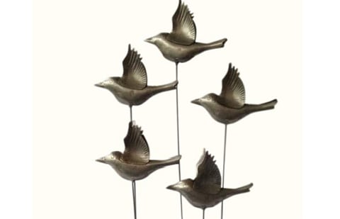 'പറവകള്‍ ചോടുവയ്ക്കുന്ന പാട്ട്'- സര്‍ജു എഴുതിയ കവിത