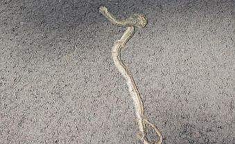 പ്രതീകാത്മക ചിത്രം