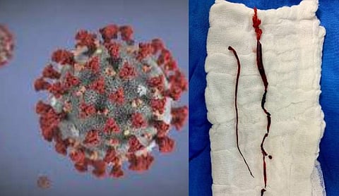 ചിത്രം: ട്വിറ്റർ