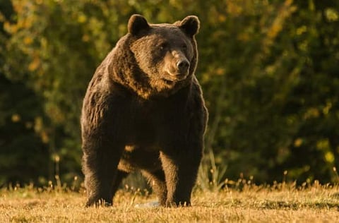 പ്രതീകാത്മക ചിത്രം