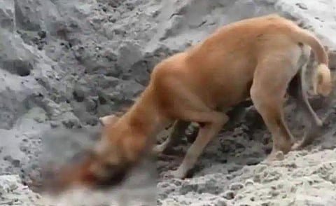 പ്രതീകാത്മക ചിത്രം