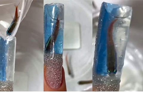 വിഡിയോ സ്ക്രീൻഷോട്ട്