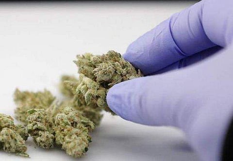 ഫയല്‍ ചിത്രം