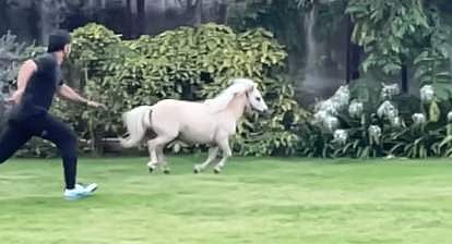 വീഡിയോ ദൃശ്യം