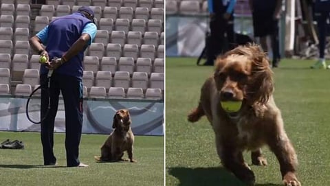 വീഡിയോ ദൃശ്യം