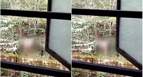 ഹോസ്റ്റലിന് മുന്നില്‍ യുവാവിന്റെ നഗ്നതാപ്രദര്‍ശനം / ടെലിവിഷന്‍ ചിത്രം