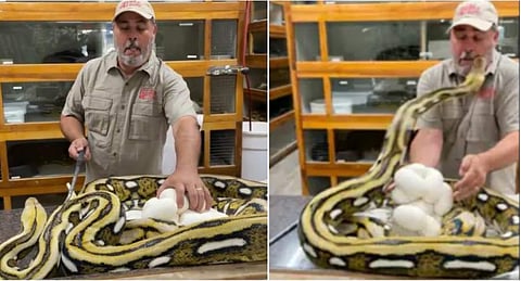 വീഡിയോ ദൃശ്യം