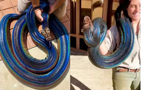 ചിത്രം: ഇൻസ്റ്റ​ഗ്രാം