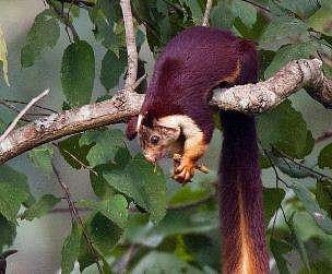 ഫയല്‍ ചിത്രം