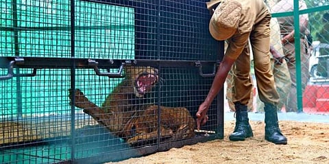 ഫയല്‍ ചിത്രം