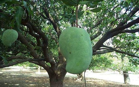 പ്രതീകാത്മക ചിത്രം