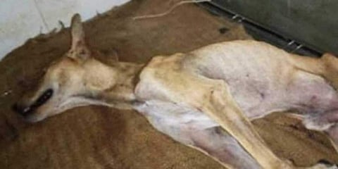 പ്രതീകാത്മക ചിത്രം