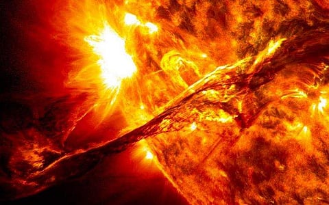 ഫോട്ടോ: ട്വിറ്റർ