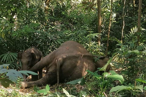 ഫയല്‍ ചിത്രം