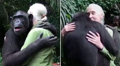 'അതിരുകളില്ലാത്ത, കളങ്കമില്ലാത്ത സ്‌നേഹം'- രക്ഷിച്ചവരെ കെട്ടിപ്പിടിച്ച് നന്ദി പ്രകടിപ്പിക്കുന്ന ചിമ്പാന്‍സി; വൈറല്‍ വീഡിയോ