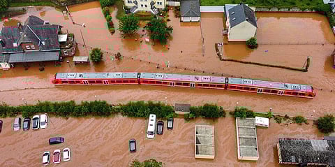 ഫോട്ടോ: ട്വിറ്റർ