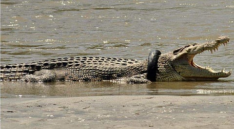 പ്രതീകാത്മക ചിത്രം
