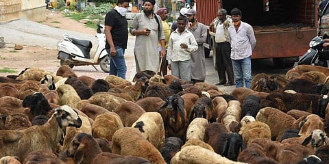 പ്രതീകാത്മക ചിത്രം