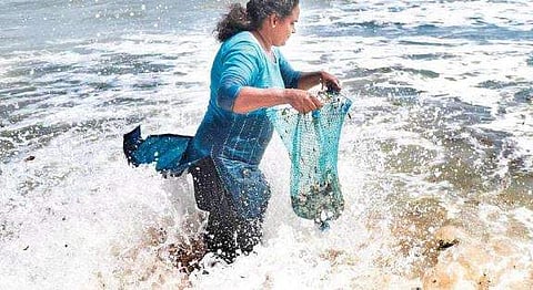 ചാവക്കാട് ബീച്ചില്‍ കക്ക വാരുന്ന രേഖ കാര്‍ത്തികേയന്‍