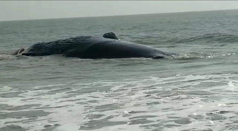 പ്രതീകാത്മക ചിത്രം