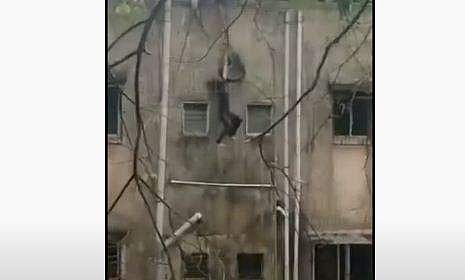 പ്രളയത്തില്‍ കുടുങ്ങിയ യുവതിയെ രക്ഷിക്കാനുള്ള ശ്രമം