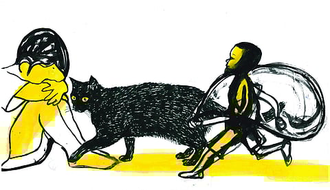 ചിത്രീകരണം: സചീന്ദ്രൻ കാറ‍ഡുക്ക