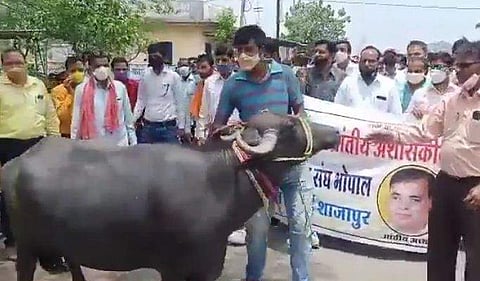 വിഡിയോ സ്ക്രീൻഷോട്ട്